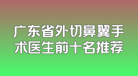 广东省外切鼻翼手术医生前十名推荐