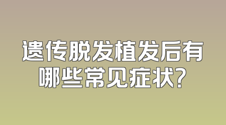 遗传脱发植发后有哪些常见症状？
