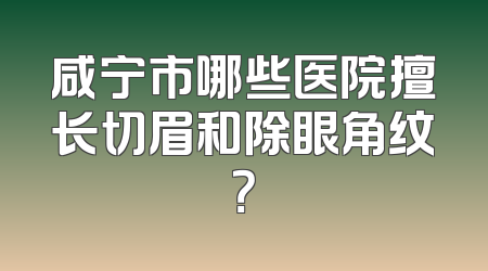咸宁市哪些医院擅长切眉和除眼角纹？