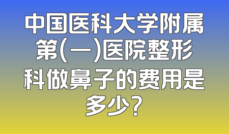 中国医科大学附属第（一）医院整形科做鼻子的费用是多少？