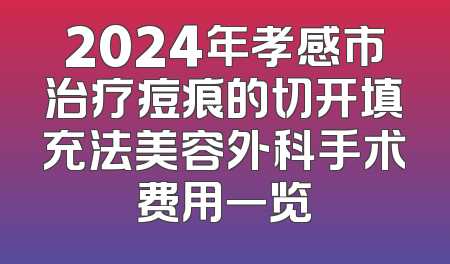 2024年孝感市治疗痘痕的切开填充法美容外科手术费用一览