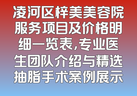 凌河区梓美美容院服务项目及价格明细一览表，专业医生团队介绍与精选抽脂手术案例展示