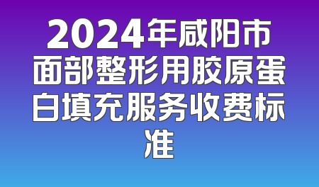 2024年咸阳市面部整形用胶原蛋白填充服务收费标准