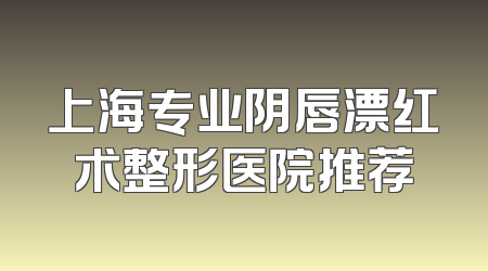 上海专业阴唇漂红术整形医院推荐
