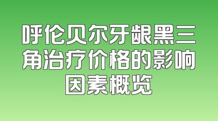 呼伦贝尔牙龈黑三角治疗价格的影响因素概览