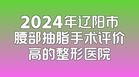 2024年辽阳市腰部抽脂手术评价高的整形医院