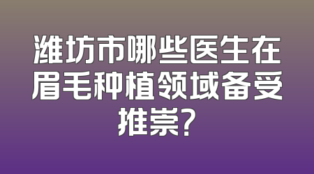 潍坊市哪些医生在眉毛种植领域备受推崇？