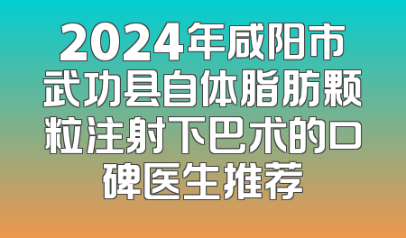 2024年咸阳市武功县自体脂肪颗粒注射下巴术的口碑医生推荐