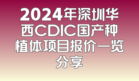 2024年深圳华西CDIC国产种植体项目报价一览分享