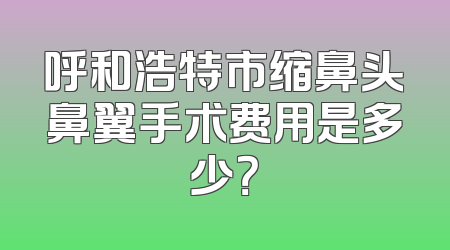 呼和浩特市缩鼻头鼻翼手术费用是多少？