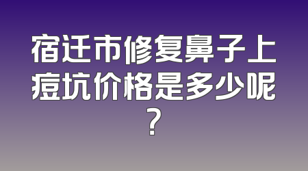 宿迁市修复鼻子上痘坑价格是多少呢？