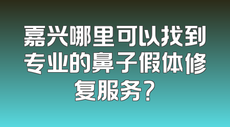 嘉兴哪里可以找到专业的鼻子假体修复服务？