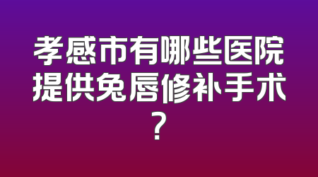 孝感市有哪些医院提供兔唇修补手术？