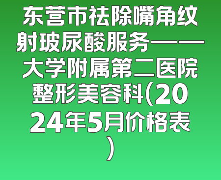 东营市祛除嘴角纹射玻尿酸服务——大学附属第二医院整形美容科（2024年5月价格表）