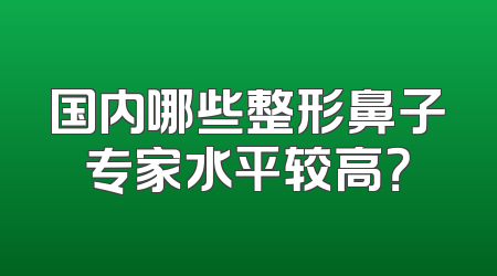 国内哪些整形鼻子专家水平较高？