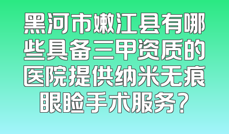 黑河市嫩江县有哪些具备三甲资质的医院提供纳米无痕眼睑手术服务？