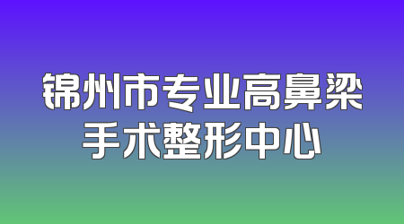 锦州市专业高鼻梁手术整形中心