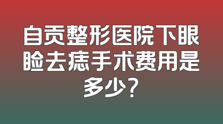 自贡整形医院下眼睑去痣手术费用是多少？