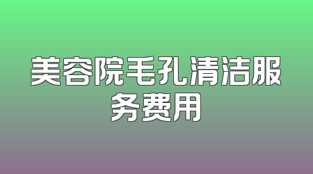 美容院毛孔清洁服务费用