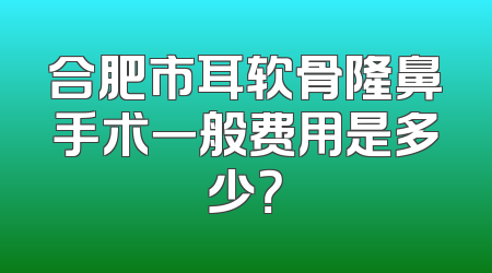 合肥市耳软骨隆鼻手术一般费用是多少？