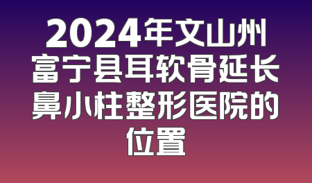 2024年文山州富宁县耳软骨延长鼻小柱整形医院的位置