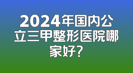 2024年国内公立三甲整形医院哪家好？