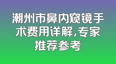 潮州市鼻内窥镜手术费用详解，专家推荐参考