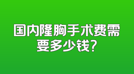 国内隆胸手术费需要多少钱？