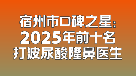 宿州市口碑之星：2025年前十名打波尿酸隆鼻医生
