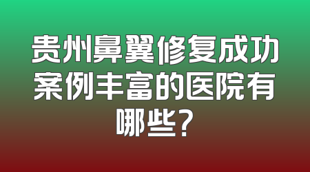 贵州鼻翼修复成功案例丰富的医院有哪些？