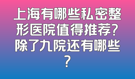 上海有哪些私密整形医院值得推荐？除了九院还有哪些？