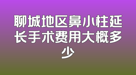 聊城地区鼻小柱延长手术费用大概多少