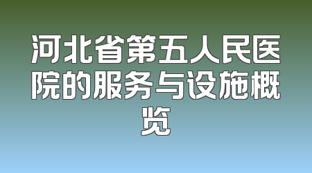 河北省第五人民医院的服务与设施概览