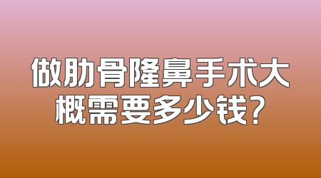 做肋骨隆鼻手术大概需要多少钱？