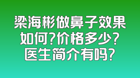 梁海彬做鼻子效果如何？价格多少？医生简介有吗？