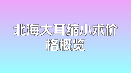 北海大耳缩小术价格概览