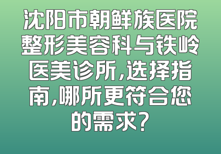 沈阳市朝鲜族医院整形美容科与铁岭医美诊所，选择指南，哪所更符合您的需求？