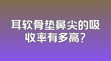 耳软骨垫鼻尖的吸收率有多高？