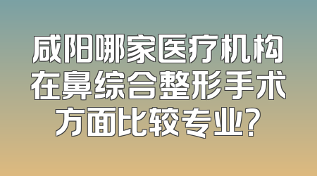 咸阳哪家医疗机构在鼻综合整形手术方面比较专业？