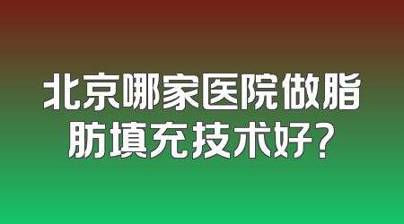北京哪家医院做脂肪填充技术好？