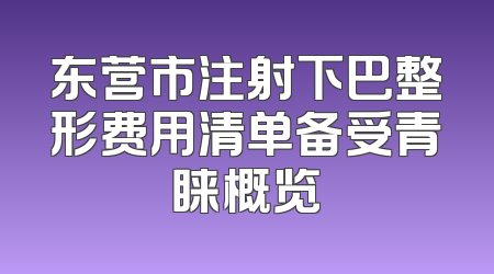 东营市注射下巴整形费用清单备受青睐概览