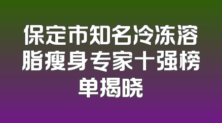 保定市知名冷冻溶脂瘦身专家十强榜单揭晓