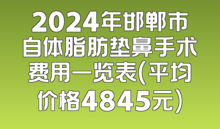 2024年邯郸市自体脂肪垫鼻手术费用一览表(平均价格4845元)