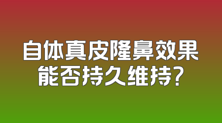 自体真皮隆鼻效果能否持久维持？