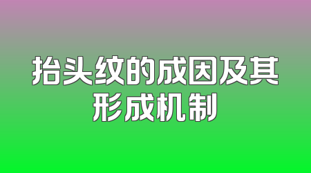 抬头纹的成因及其形成机制