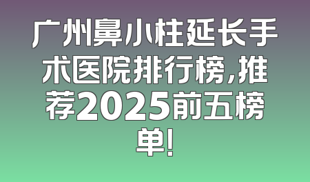 广州鼻小柱延长手术医院排行榜，推荐2025前五榜单！