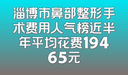 淄博市鼻部整形手术费用人气榜近半年平均花费19465元