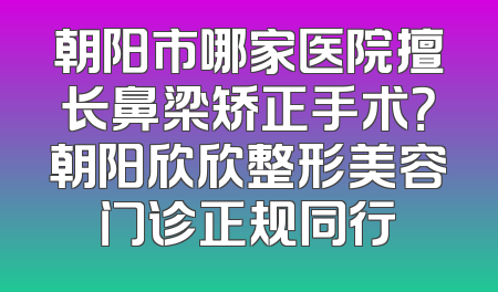 朝阳市哪家医院擅长鼻梁矫正手术？朝阳欣欣整形美容门诊正规同行