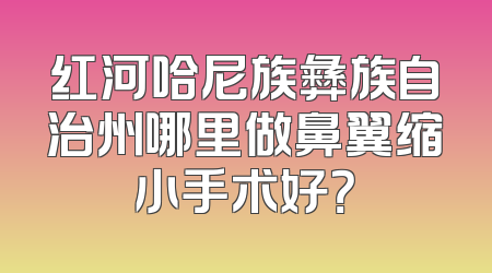 红河哈尼族彝族自治州哪里做鼻翼缩小手术好？