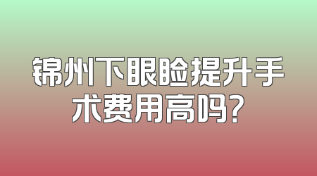 锦州下眼睑提升手术费用高吗？